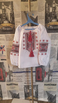 children's embroidered shirt